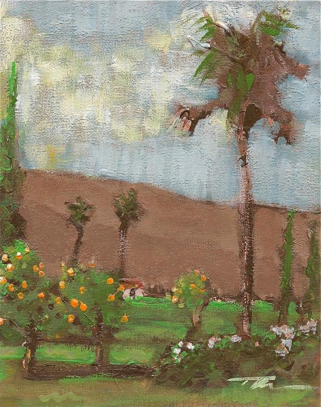 palm canyon study